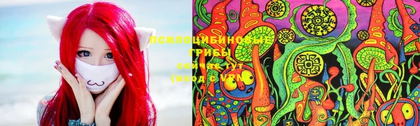 мяу мяу мука Абинск